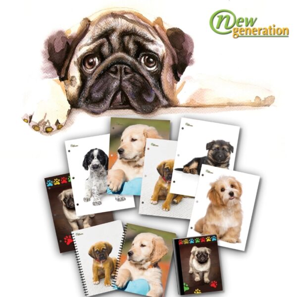 New Generation Pocket Folders, 2-Pocket Folders with Two Pockets and 3 Hole Punched, Assorted Colors, 6 Count