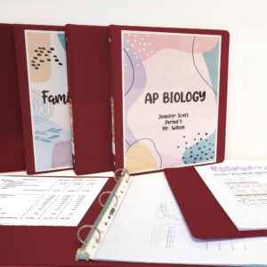 BAZIC 3 Ring Binder 1" Economy View Binders Fuchsia, Hold 175 Sheets, 2-Count - Image 39