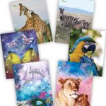 New Generation Wild Life Fashion School 2-Pocket Folders, Assorted Colors, 6 Count