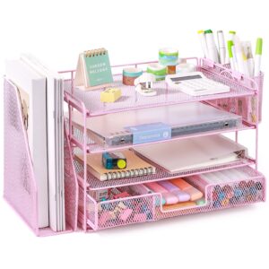 Livhil Desktop Organizer 4-Tier Desk Organizers Sets and Storage, File Organizers for Desk Drawer Organizer, Paper Organizer for Desk (Purple)