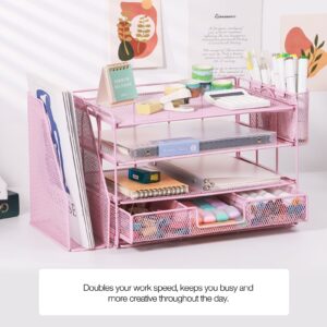 Livhil Desktop Organizer 4-Tier Desk Organizers Sets and Storage, File Organizers for Desk Drawer Organizer, Paper Organizer for Desk (Purple)