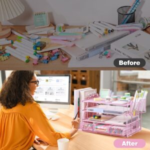 Livhil Desktop Organizer 4-Tier Desk Organizers Sets and Storage, File Organizers for Desk Drawer Organizer, Paper Organizer for Desk (Purple)