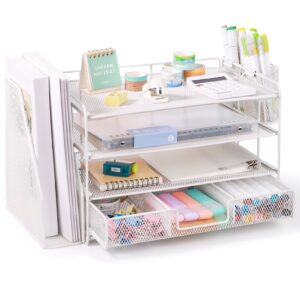 Livhil Desktop Organizer 4-Tier Desk Organizers Sets and Storage, File Organizers for Desk Drawer Organizer, Paper Organizer for Desk (Purple)