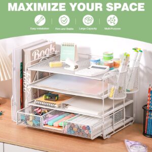 Livhil Desktop Organizer 4-Tier Desk Organizers Sets and Storage, File Organizers for Desk Drawer Organizer, Paper Organizer for Desk (Purple)