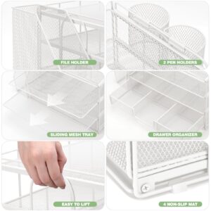 Livhil Desktop Organizer 4-Tier Desk Organizers Sets and Storage, File Organizers for Desk Drawer Organizer, Paper Organizer for Desk (Purple)