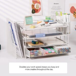 Livhil Desktop Organizer 4-Tier Desk Organizers Sets and Storage, File Organizers for Desk Drawer Organizer, Paper Organizer for Desk (Purple)