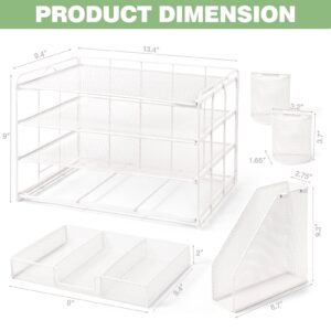 Livhil Desktop Organizer 4-Tier Desk Organizers Sets and Storage, File Organizers for Desk Drawer Organizer, Paper Organizer for Desk (Purple)