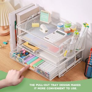 Livhil Desktop Organizer 4-Tier Desk Organizers Sets and Storage, File Organizers for Desk Drawer Organizer, Paper Organizer for Desk (Purple)