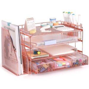Livhil Desktop Organizer 4-Tier Desk Organizers Sets and Storage, File Organizers for Desk Drawer Organizer, Paper Organizer for Desk (Purple)