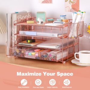 Livhil Desktop Organizer 4-Tier Desk Organizers Sets and Storage, File Organizers for Desk Drawer Organizer, Paper Organizer for Desk (Purple)