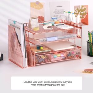 Livhil Desktop Organizer 4-Tier Desk Organizers Sets and Storage, File Organizers for Desk Drawer Organizer, Paper Organizer for Desk (Purple)