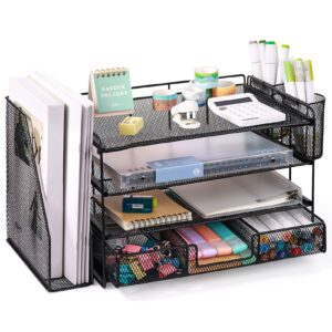 Livhil Desktop Organizer 4-Tier Desk Organizers Sets and Storage, File Organizers for Desk Drawer Organizer, Paper Organizer for Desk (Purple)