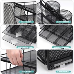 Livhil Desktop Organizer 4-Tier Desk Organizers Sets and Storage, File Organizers for Desk Drawer Organizer, Paper Organizer for Desk (Purple)