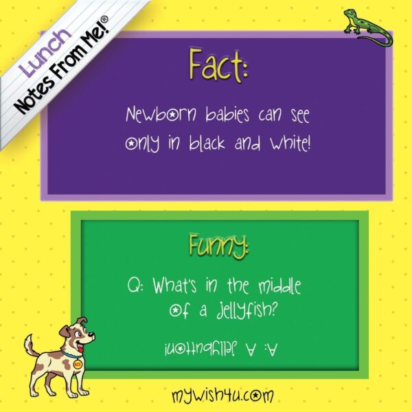 Notes From Me! Lunch Box Funnies Tear-Off Notes, 4″x4″, Colorful, 101 Count