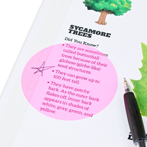 Pen + Gear Transparent Circular Sticky Notes,50 Count,Size 70mm
