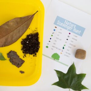 Elementree Sustainable Printer Paper, 8.5" x 11", 20 lb., White, 1 Ream (500 Sheets) - Image 7